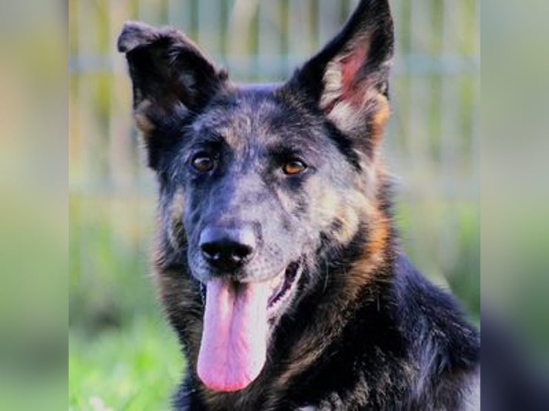 Donna, schön und sehr lieb