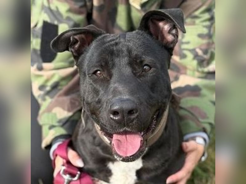 SUNNY sucht seine Menschen