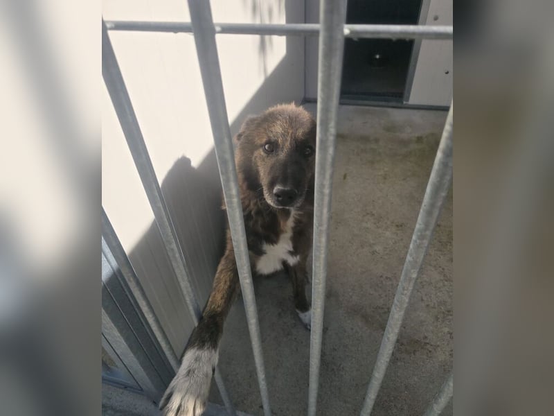 LOBITO muss jeden Tag um sein Leben zittern