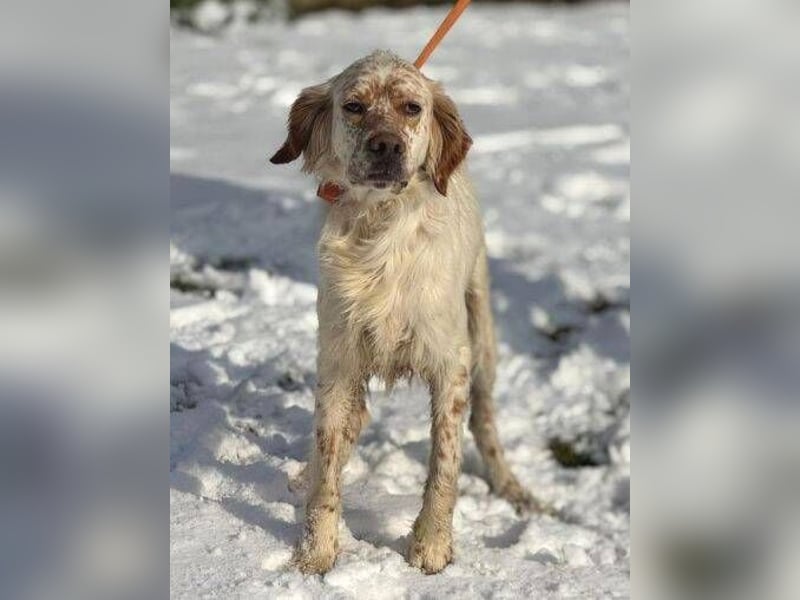 MARK  bildschön, und zu allen sehr lieb