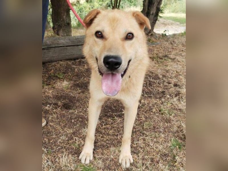 AKIM wartet auf Dich AKIM wartet auf Dich