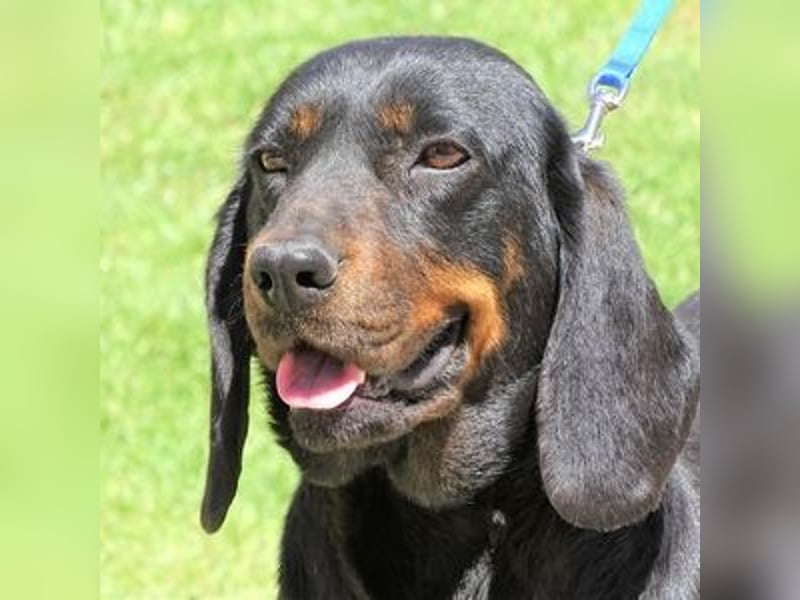 LENA sucht ihre Familie