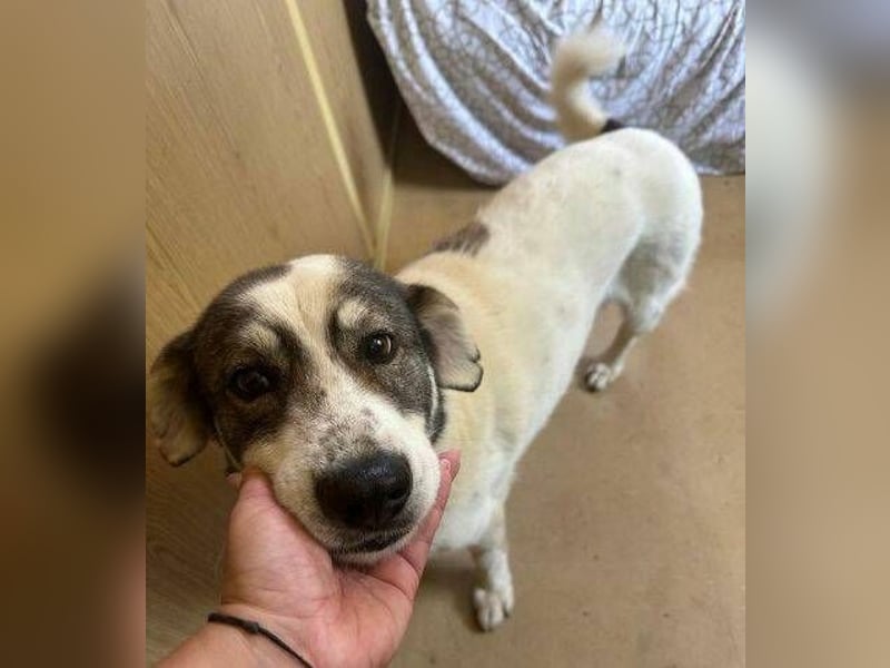 PUFI versteht sich mit allen