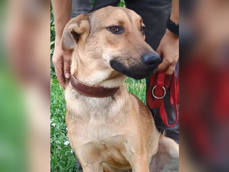 DONATELLO elegant und super freundlich