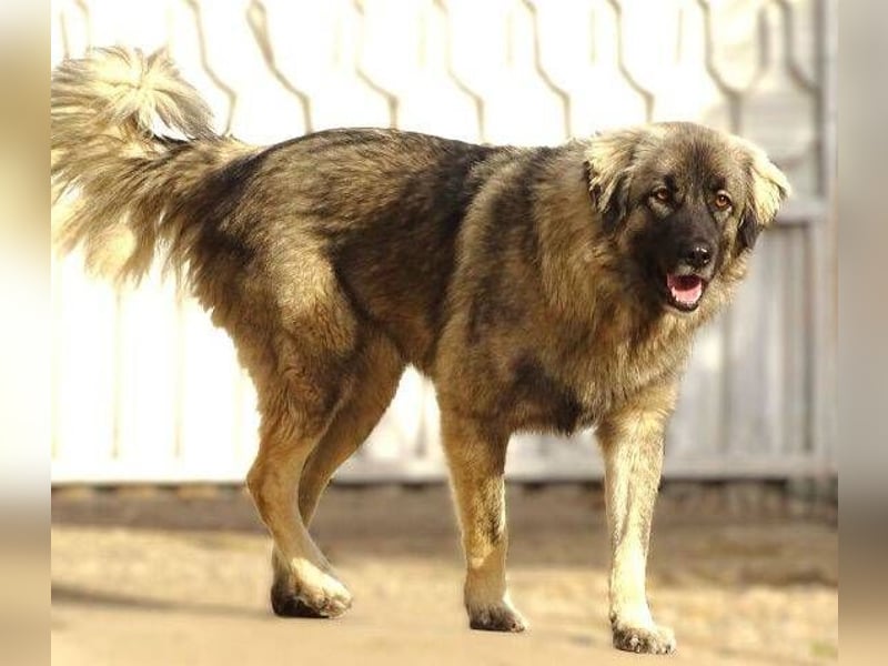 EMMA ist wunderschön