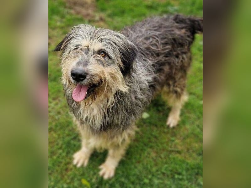 MAYA ist einfach zauberhaft