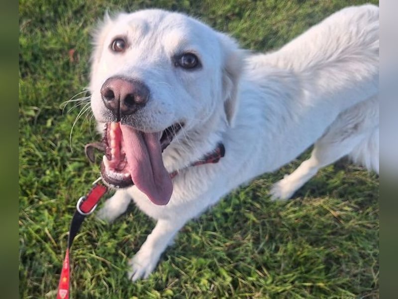 LUCY freut sich über jede Zuwendung