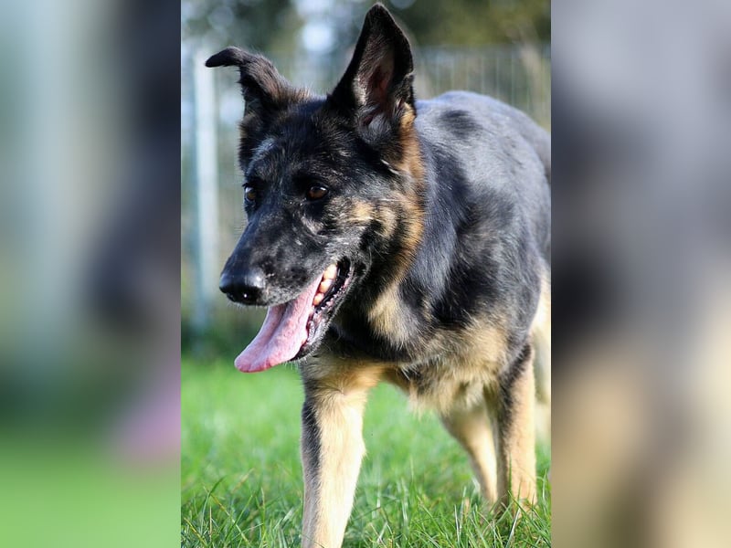 Donna, schön und sehr lieb