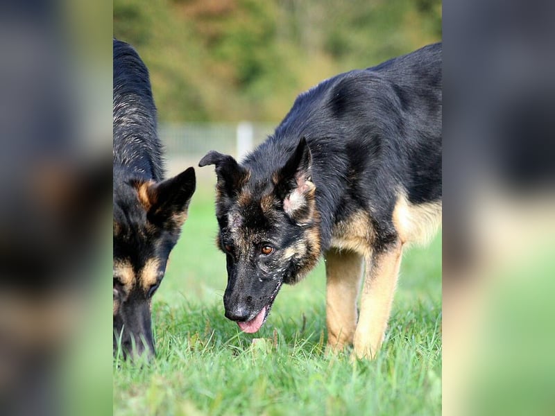 Donna, schön und sehr lieb