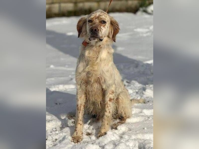 MARK  bildschön, und zu allen sehr lieb