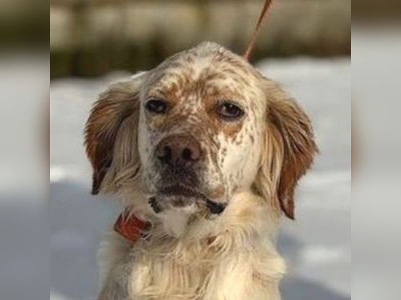 MARK  bildschön, und zu allen sehr lieb