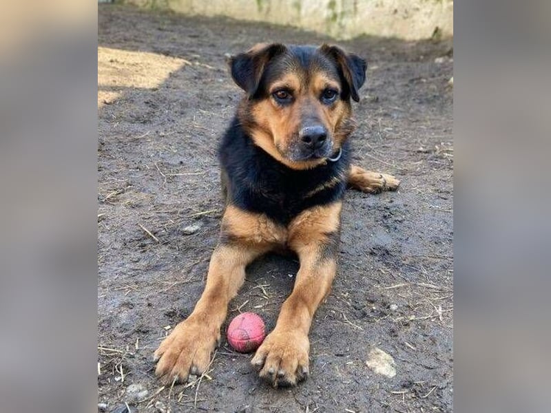 ZEUS wurde im Stich gelassen