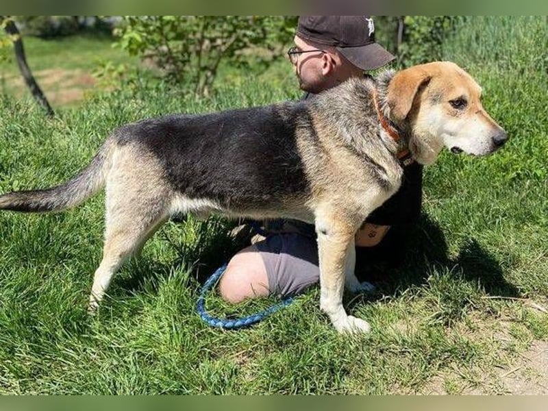BOBBY 2 wurde hilflos zurück gelassen