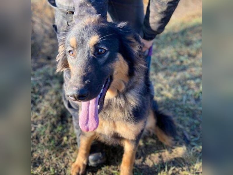 SKY 2 wurde lieblos behandelt