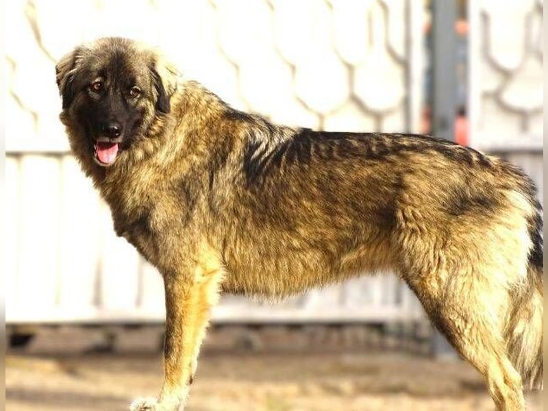 EMMA ist wunderschön