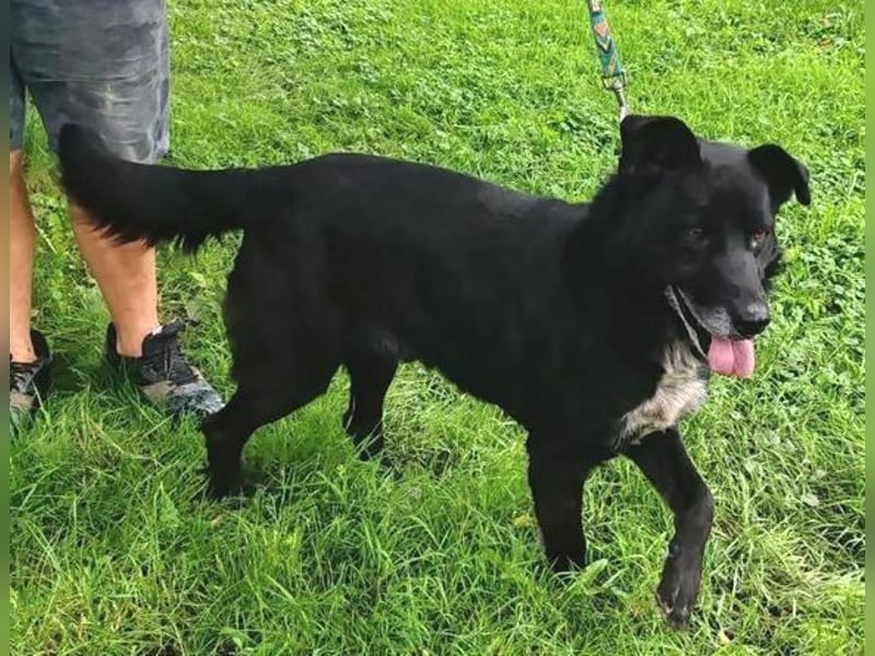 RUSTY hätte so sehr etwas Liebe verdient