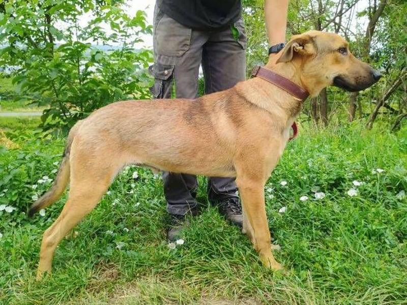 DONATELLO elegant und super freundlich