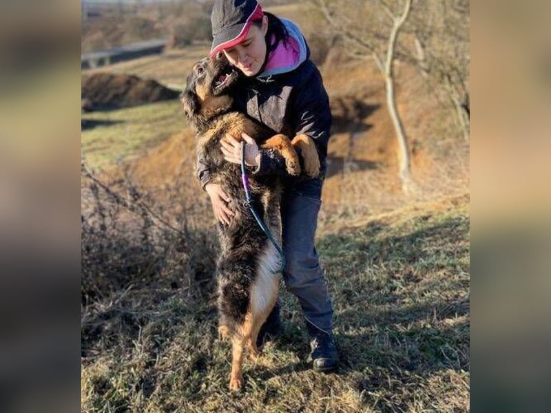 SKY 2 wurde lieblos behandelt