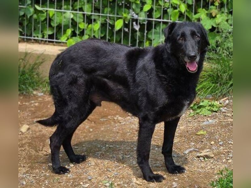 KARAM ist super lieb