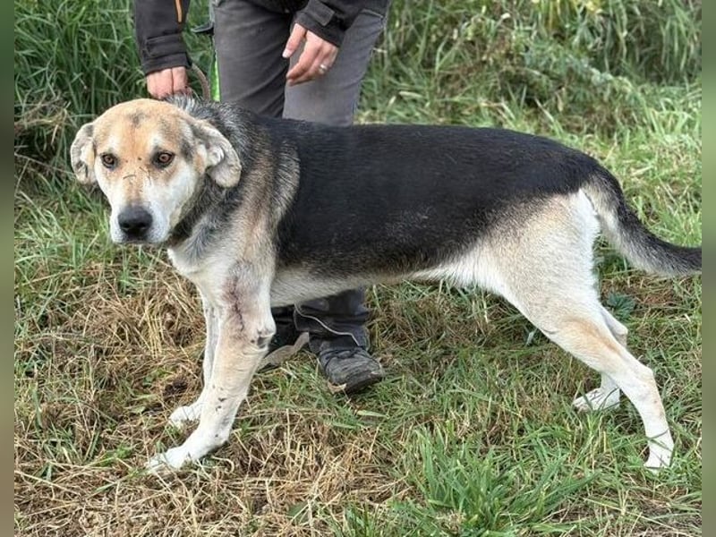 BOBBY 2 wurde hilflos zurück gelassen