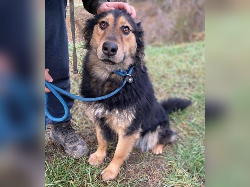 ELZA sucht ihre Familie