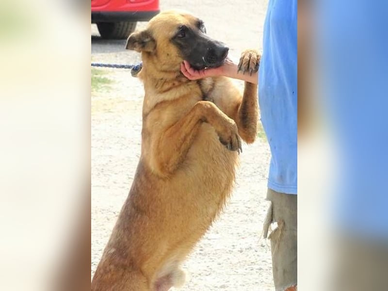 IKE ist ein unkomplizierter Strahlemann