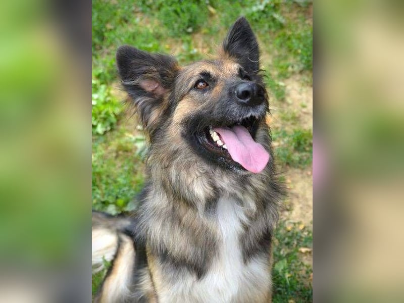 BABORKA hätte so gerne eine eigene Familie