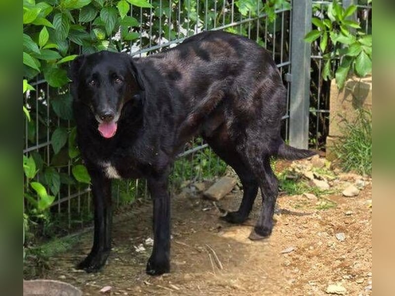 KARAM ist super lieb