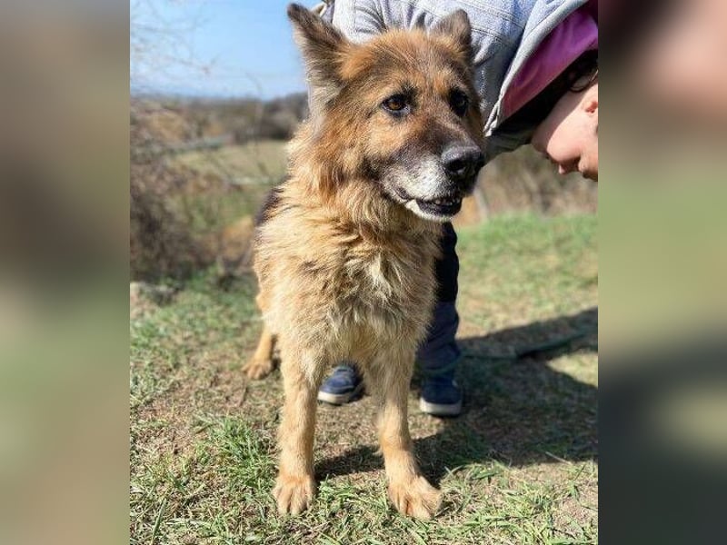 SHIRA hat endlich Liebe verdient