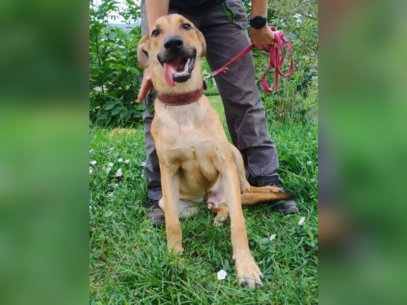 DONATELLO elegant und super freundlich