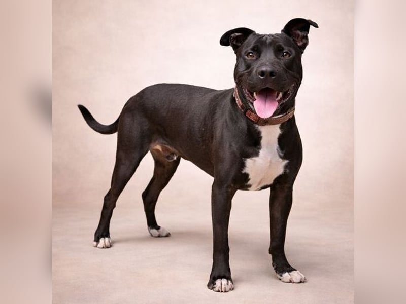 SUNNY sucht seine Menschen