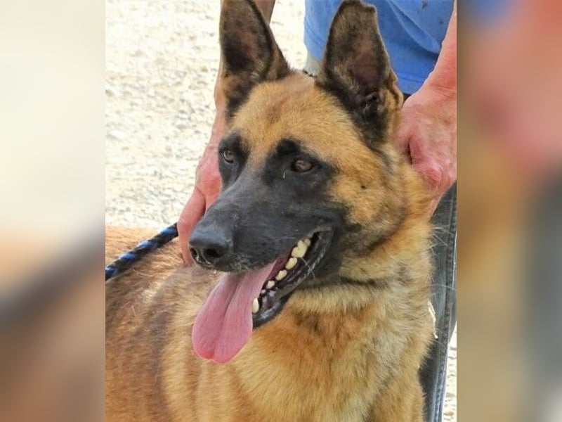 IKE ist ein unkomplizierter Strahlemann