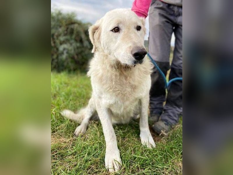 ZUZA  ist traurig, wer tröstet sie?