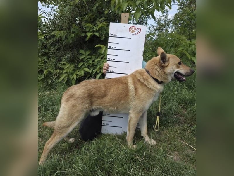 TIM ist auf der Suche nach dem großen Glück