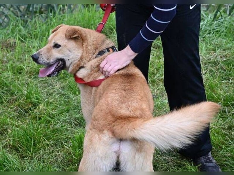 AKIM wartet auf Dich