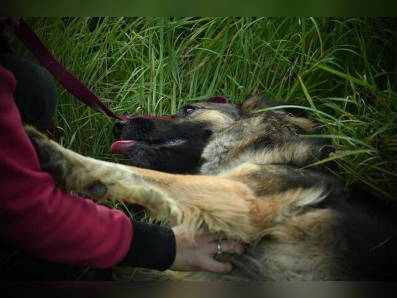 BABORKA hätte so gerne eine eigene Familie