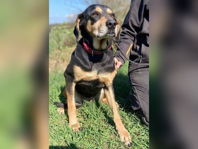 PEPI hat alles verloren