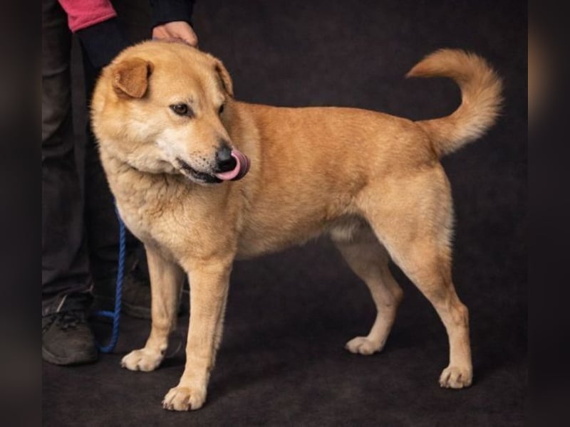 AKIM wartet auf Dich