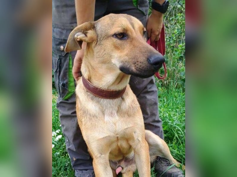 DONATELLO elegant und super freundlich