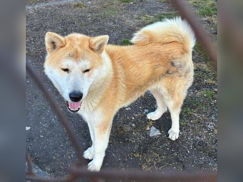 BUBO ist ein Strahlemann