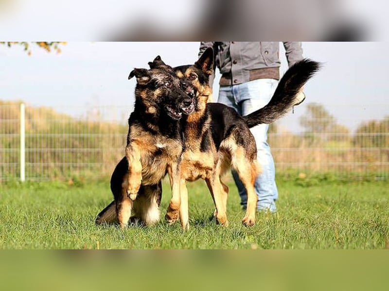 Donna, schön und sehr lieb