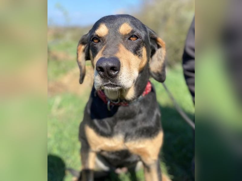 PEPI hat alles verloren