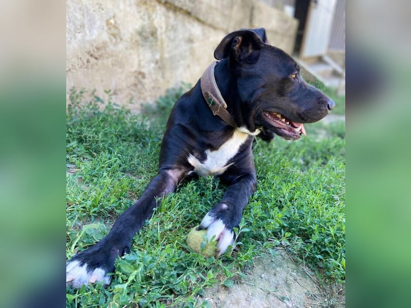 SUNNY sucht seine Menschen