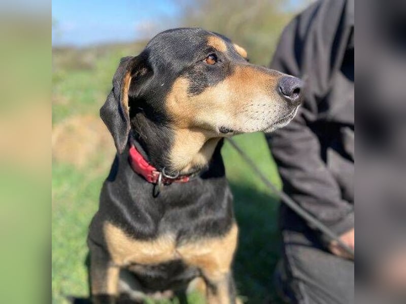 PEPI hat alles verloren