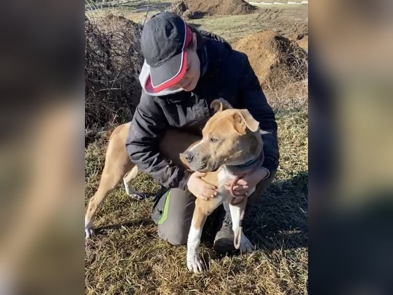 DORIAN sehnt sich nach einem Zuhause