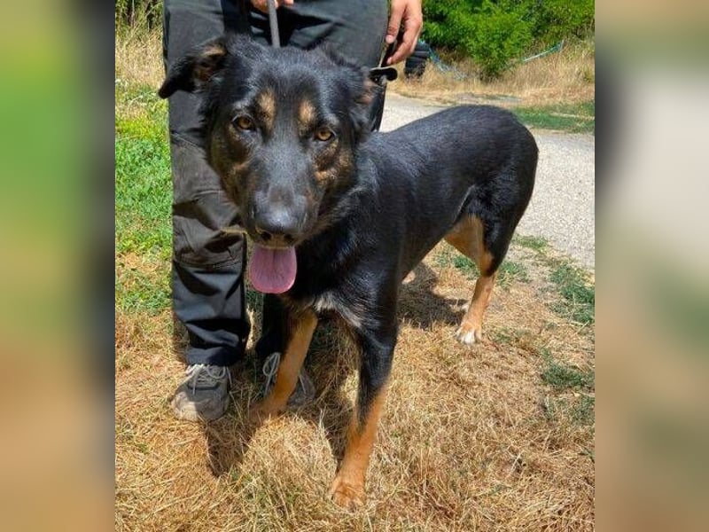 LUNA 2 wäre so gerne Familienmitglied