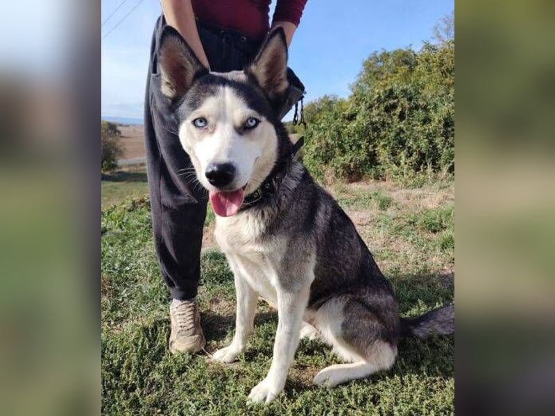 SELLY zaubert jedem ein Lächeln ins Gesicht