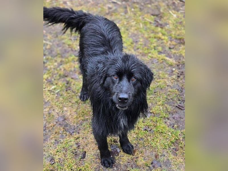 FABIO wäre gerne dein Freund