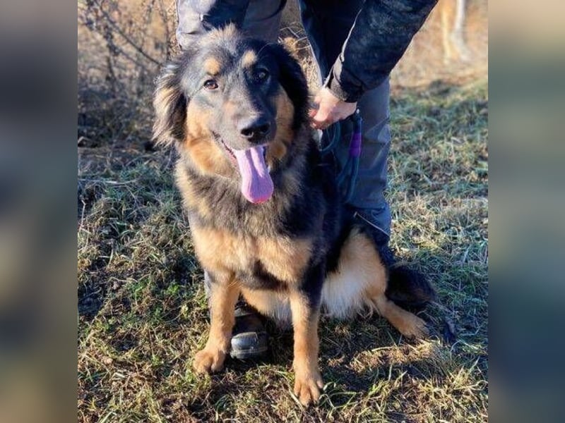 SKY 2 wurde lieblos behandelt