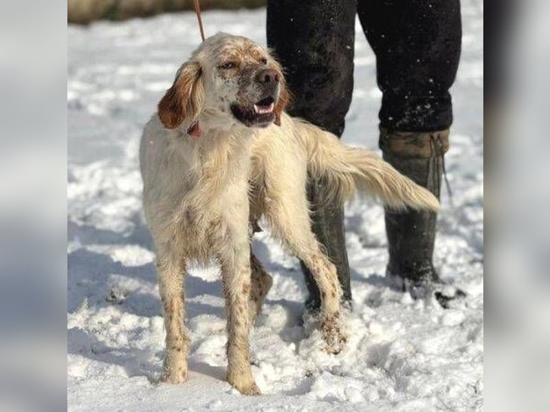 MARK  bildschön, und zu allen sehr lieb